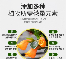 家庭养花用生根粉