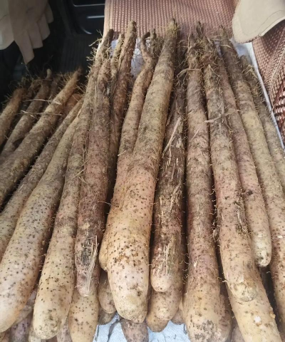 淮山山药是什么样的