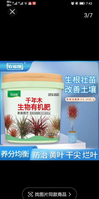 家庭养花用生根粉