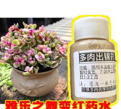 家庭养花用生根粉