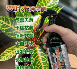 家庭养花用生根粉