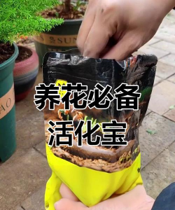 家庭养花用生根粉