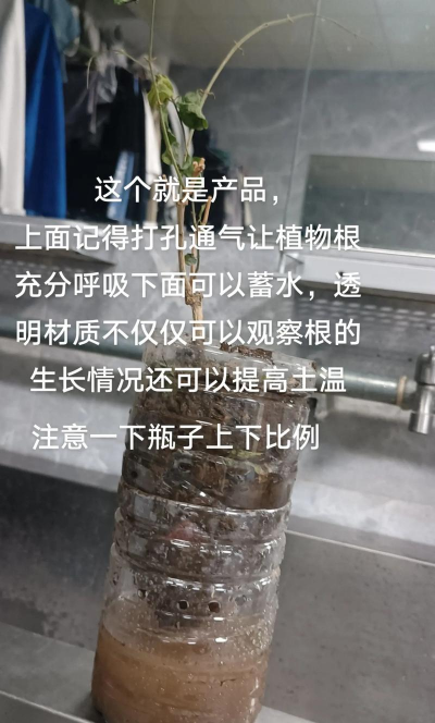 家庭养花用生根粉