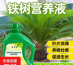 家庭养花用生根粉