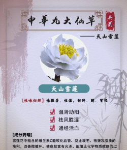 学莲花的作用是什么1