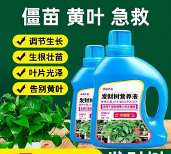 家庭养花用生根粉