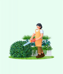 家庭养花用生根粉