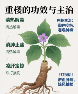 重楼花叫病用什么药好