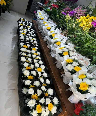 徐州市鲜花菊花怎么卖