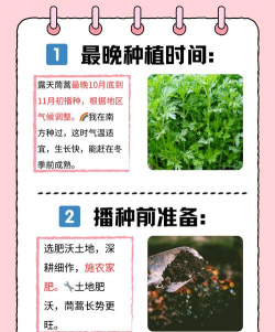 茼蒿菜什么时候浇水好