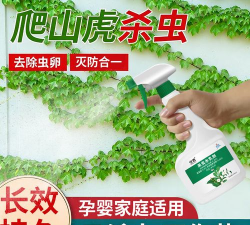 家庭养花用生根粉