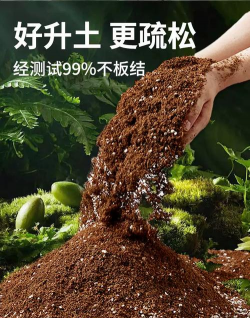 别墅园林绿化设计，打造私密空间，提升居住品质