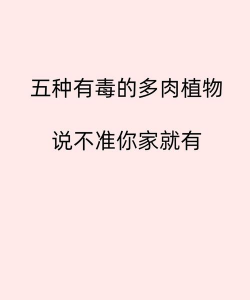 别墅园林绿化设计，打造私密空间，提升居住品质