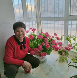 绿化景观设计，提升环境品质，创造宜人空间