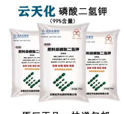 葡萄栽培，掌握关键技术，实现优质丰产