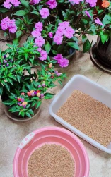 别墅园林绿化设计，打造私密空间，提升居住品质