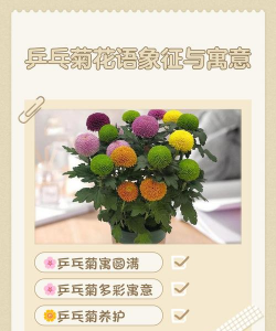 玫瑰花怎么养才不会枯萎，掌握浇水施肥技巧，轻松延长花期