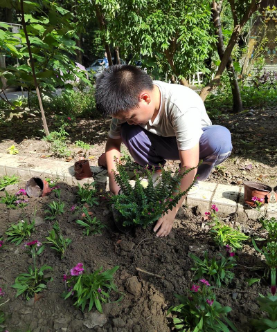 家庭养花用生根粉