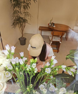 家庭养花用生根粉