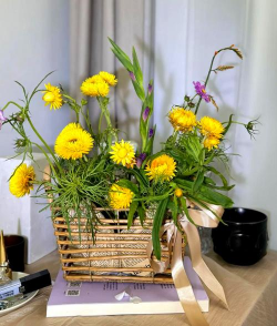 麦秆菊适合送什么人