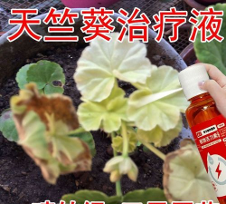 家庭养花用生根粉