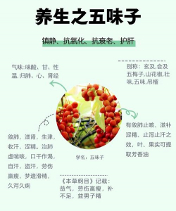 五味子怎么养护
