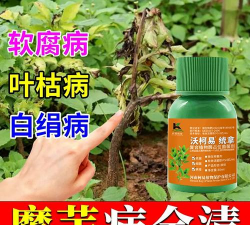 家庭养花用生根粉