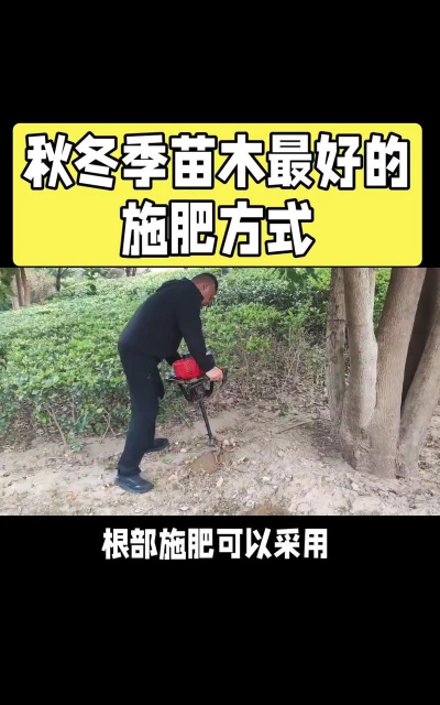 速生苗木选肥施肥的办法