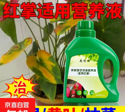 家庭养花用生根粉