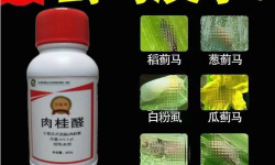 家庭养花用生根粉