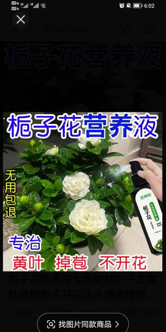 家庭养花用生根粉