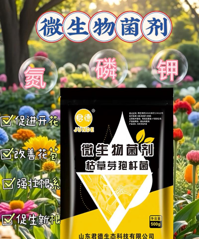 芍药花怎么养，掌握关键要点，花开更鲜艳