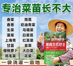 盆栽四季草莓用什么肥料