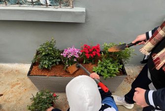 家庭养花用生根粉