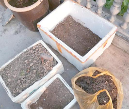 家庭养花用生根粉