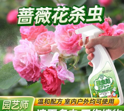 蔷薇花有虫喷什么药