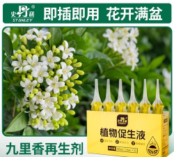 家庭养花用生根粉