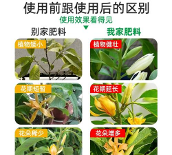 家庭养花用生根粉