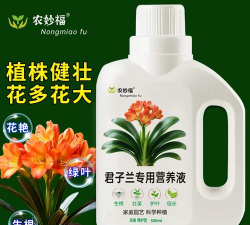 家庭养花用生根粉