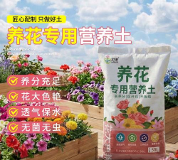 家庭养花用生根粉