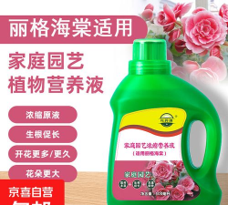 家庭养花用生根粉