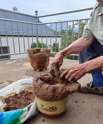 家庭养花用生根粉