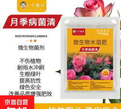 家庭养花用生根粉