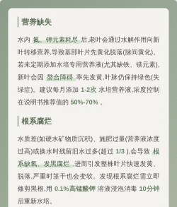 水培竹子发黄是怎么回事