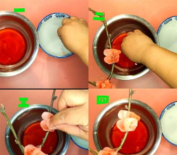 家庭养花用生根粉