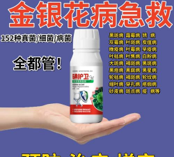 家庭养花用生根粉