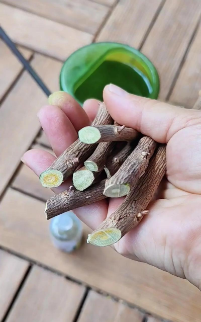 家庭养花用生根粉