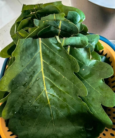 薄叶饼可以用什么叶子