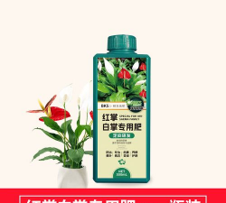 家庭养花用生根粉