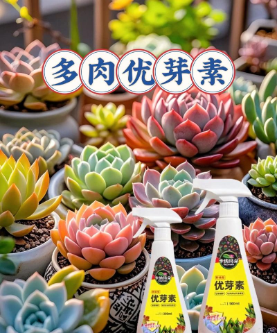 家庭养花用生根粉